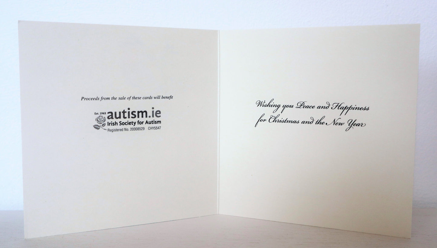 Robin Christmas Card Pack