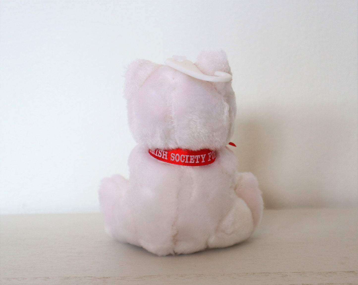 White Teddy with Rose