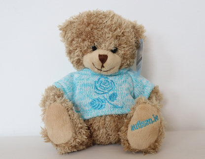 Teddy with Blue Jumper